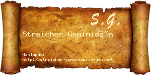 Streicher Geminián névjegykártya